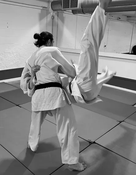 Aikido technique by Brad G.