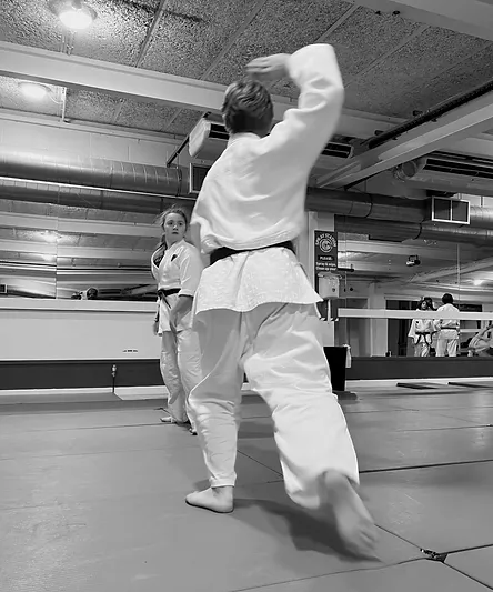 Aikido technique by Robyn and Ant